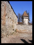 Cata-28-03-2009 - Bogdan Balaban