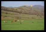 Cetatea Coltesti -21-04-2013 - Bogdan Balaban