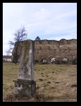 Cirta-07-03-2009 - Bogdan Balaban