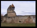 Cirta-07-03-2009 - Bogdan Balaban
