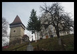 Dumitra -19-11-2010 - Bogdan Balaban
