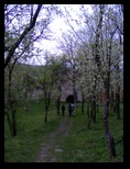 Rupea-20-04-2009 - Bogdan Balaban