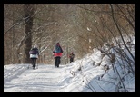 Timpa -19-12-2010 - Bogdan Balaban