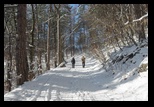 Timpa -19-12-2010 - Bogdan Balaban