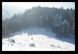 Timpa -19-12-2010 - Bogdan Balaban