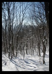 Timpa -19-12-2010 - Bogdan Balaban