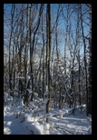 Timpa -19-12-2010 - Bogdan Balaban