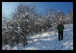 Timpa -19-12-2010 - Bogdan Balaban
