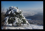 Timpa -19-12-2010 - Bogdan Balaban