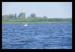 Mahmudia -Litcov-Potcoava-Gorgova-Isacel-Uzlina -06-06-2015 - Bogdan Balaban