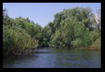 Mahmudia -Litcov-Potcoava-Gorgova-Isacel-Uzlina -06-06-2015 - Bogdan Balaban