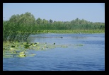 Mahmudia -Litcov-Potcoava-Gorgova-Isacel-Uzlina -06-06-2015 - Bogdan Balaban