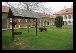 Brincoveanu - Simbata de Sus -30-04-2011 - Bogdan Balaban