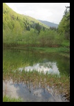 Brincoveanu - Simbata de Sus -30-04-2011 - Bogdan Balaban