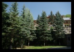 Rimet -01-05-2012 - Bogdan Balaban
