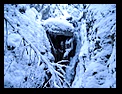 7Scari -16-12-2007 - Bogdan Balaban