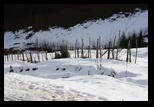 Bolnoc -24-02-2013 - Bogdan Balaban