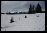 Bolnoc -24-02-2013 - Bogdan Balaban