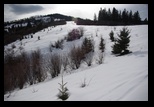 Bolnoc -24-02-2013 - Bogdan Balaban