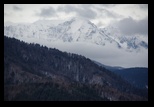Bolnoc -24-02-2013 - Bogdan Balaban