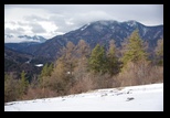 Bolnoc -24-02-2013 - Bogdan Balaban