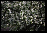 Bran -05-05-2013 - Bogdan Balaban