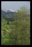 Bran -05-05-2013 - Bogdan Balaban