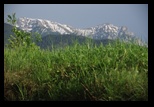 Bran -05-05-2013 - Bogdan Balaban