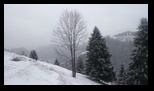 Bucegi - Culmea Bisericutei -31-01-2026 - Bogdan Balaban