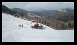 Bucegi - Culmea Bisericutei -31-01-2026 - Bogdan Balaban