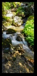 Bucegi - Valea Horoabelor -09-07-2023 - Bogdan Balaban