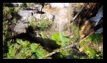Bucegi - Valea Horoabelor -09-07-2023 - Bogdan Balaban