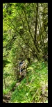 Bucegi - Valea Horoabelor -09-07-2023 - Bogdan Balaban