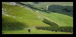 Bucegi - Valea Horoabelor -09-07-2023 - Bogdan Balaban