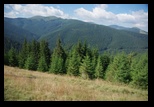 Bucegi -04-08-2013 - Bogdan Balaban