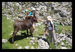 Bucegi -04-08-2013 - Bogdan Balaban