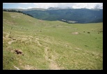 Bucegi -04-08-2013 - Bogdan Balaban