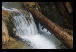 Bucegi -04-08-2013 - Bogdan Balaban