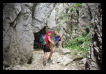 Bucegi -04-08-2013 - Bogdan Balaban