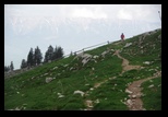 Bucegi -06-05-2013 - Bogdan Balaban