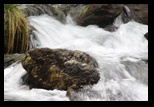 Bucegi -06-05-2013 - Bogdan Balaban