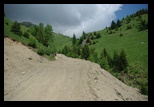 Bucegi -11-06-2010 - Bogdan Balaban