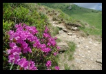 Bucegi -11-06-2010 - Bogdan Balaban