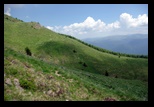 Bucegi -11-06-2010 - Bogdan Balaban