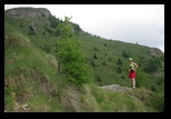 Bucegi -11-06-2010 - Bogdan Balaban