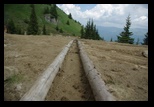 Bucegi -11-06-2010 - Bogdan Balaban