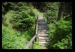 Bucegi -11-06-2010 - Bogdan Balaban