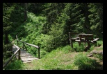 Bucegi -11-06-2010 - Bogdan Balaban