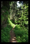 Bucegi -11-06-2010 - Bogdan Balaban