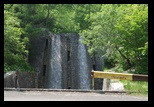 Bucegi -11-06-2010 - Bogdan Balaban